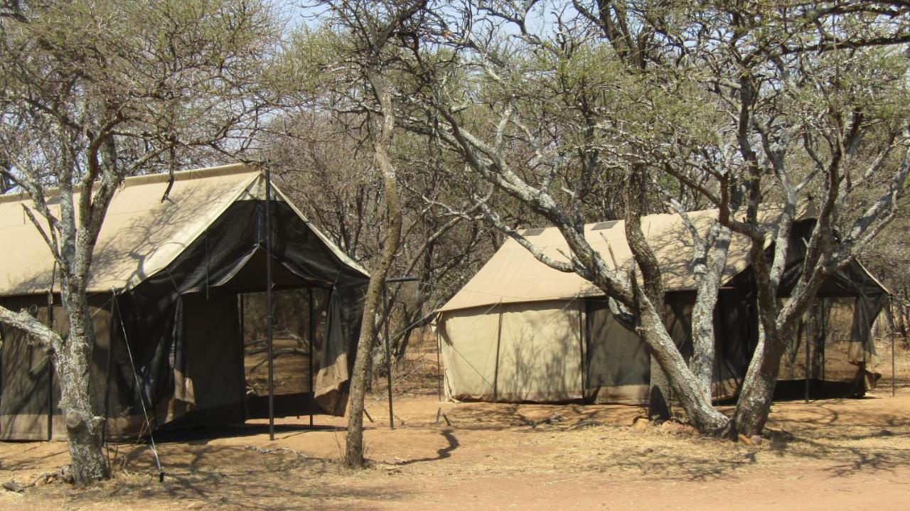 Zebra Nature Reserve Cullinan Exterior photo