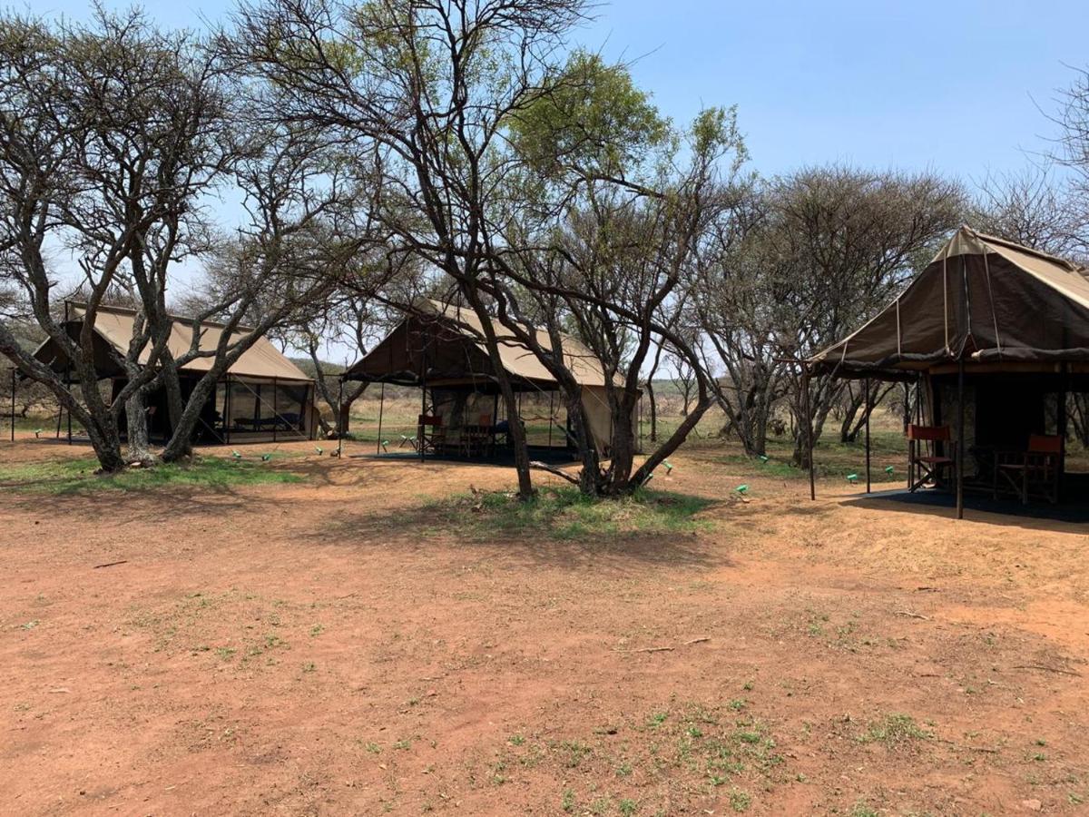 Zebra Nature Reserve Cullinan Exterior photo