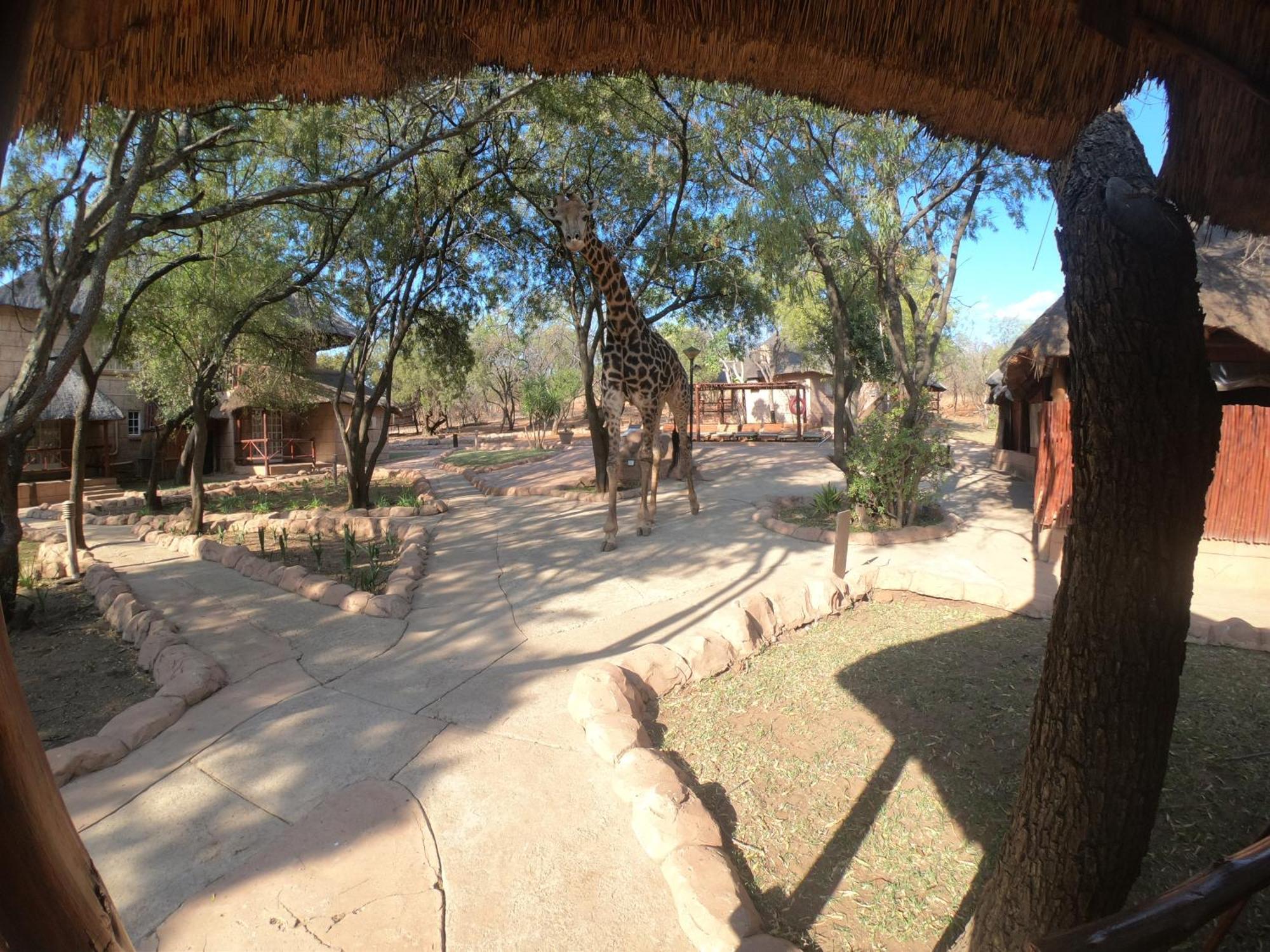 Zebra Nature Reserve Cullinan Room photo